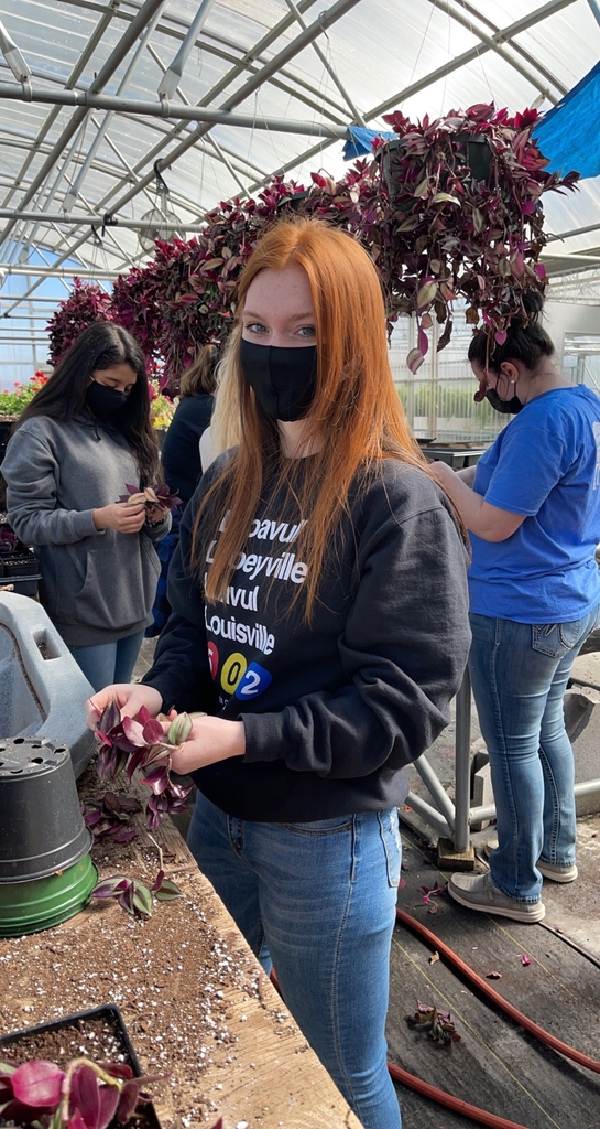 Student cutting plants. 
