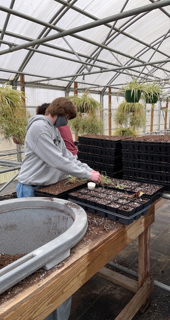 Students working on plants. 